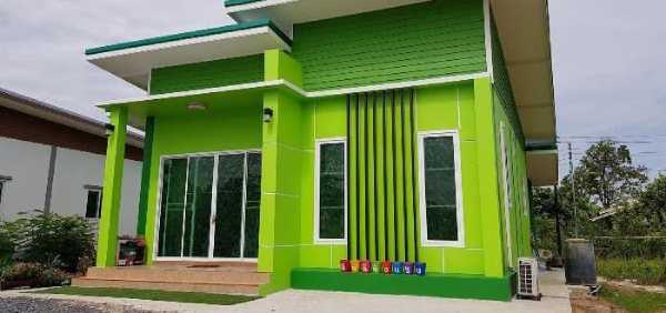 cat rumah Hijau Lime