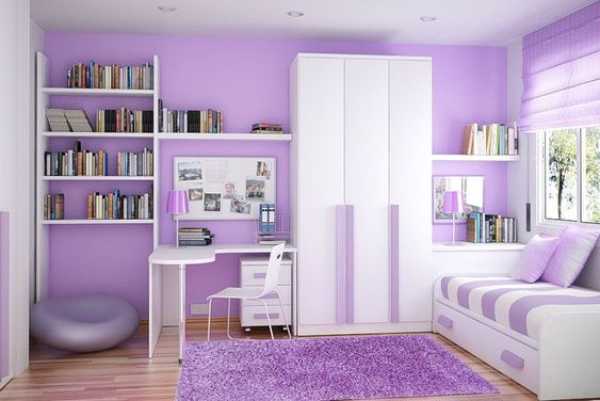 cat rumah Lavender