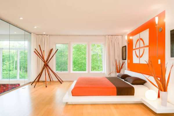 cat rumah Orange